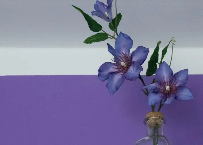 Zimmervermietung Hebenstreit